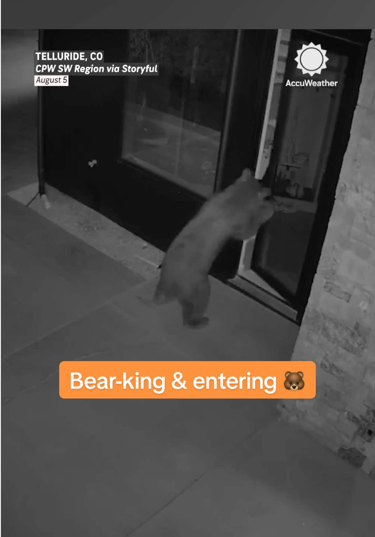Caught on camera in Telluride, a clever black bear pulled off some classic “bear-king and entering” by opening a house door with the handle. 🐻 #colorado #telluride #bear #wildlife #animals 