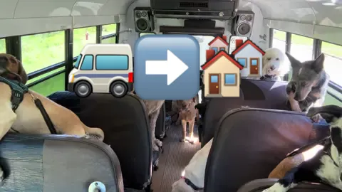 🚐➡️🏘️