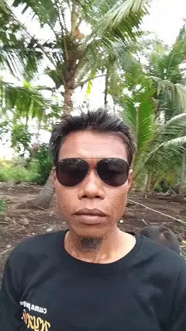 pulau burung 🐦#pulauburung #fypシ゚viral🖤tiktok☆♡ 