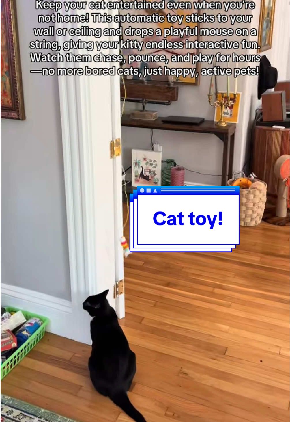 🐾 Press. Play. Purr. 🐾 This automatic cat toy keeps your kitty entertained all day long with a rechargeable, ceiling-hanging string + fun attachments they can’t resist! 🎉 No batteries, no hassle — just endless play while you relax. 🐱✨ #cattoys #cats #catlover #catenrichment #pets 