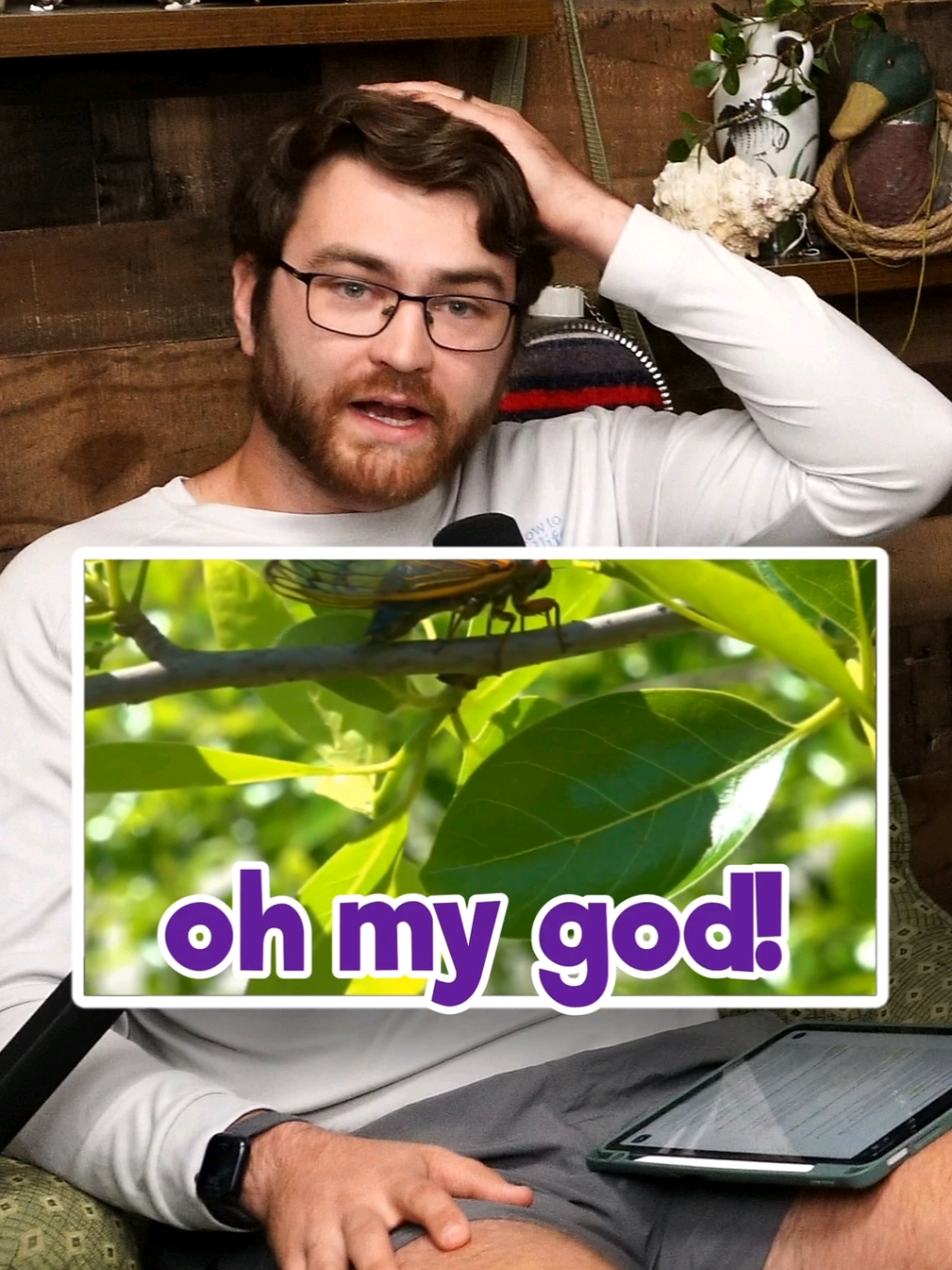 Would you be upset if a cicada peed on you? 💦🪰 Cicadas are the only bug whose pee gives a rain-like experience! So if you ever thought tree sap dripped on you… it might’ve just been a cicada peeing 🤭  - - - #wildlife #podcast #animals #animal #worldswildest #mayahiga #nature #cute #photography #wildlifeeducation #conservation #cicada #funfact 