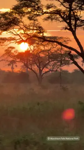 sunset at Murchison falls national Park  #murchisonfallsnationalpark #sunset #nature #tiktokuganda #travel 