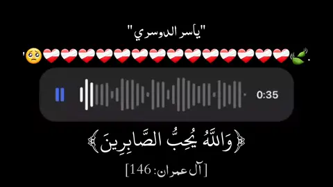 #quran_alkarim  #قران_كريم 