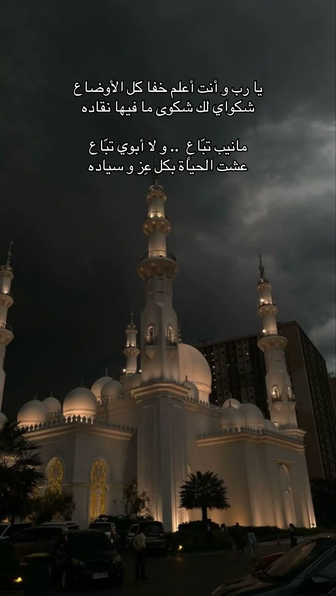 #اكسبلور #fyp #قصيد #شعر 