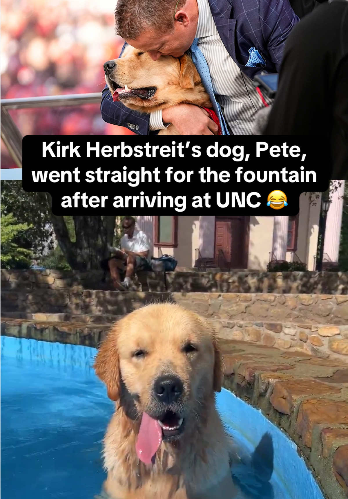 Living his best life 🐾🐶 #CollegeFootball #cfb #unc (🎥: Kirk Herbstreit/X)