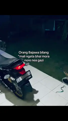 #bajawa mlo ine bhai apa