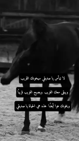 #اكسبلور #المهرة🐎#تصميمي #عبارات #اقتباسات_عبارات_خواطر 