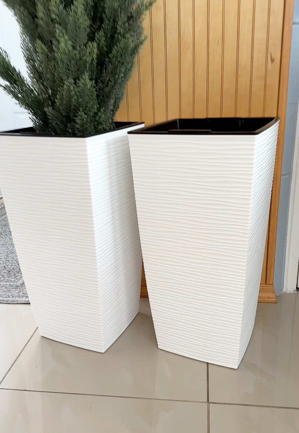 Masetas para plantas . #masetasencasa #masetasparaplantas #basedeplantas 