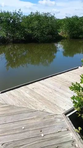 Too Funny 😂! #fyp #Outdoors #friends #florida 