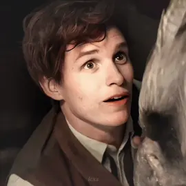 𝐅𝐀𝐍𝐅𝐈𝐂 𝐄𝐃𝐈𝐓 | Newt stood infront of her shielding her with his own body as he stood face to face with his brother and Leta 