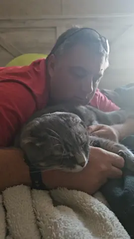 @Amy Daws you wrote my husband into a book! 🤣😂 I swear, if we lived in the mountains, this man would put him in a carrier! #author #BookTok #catdad #funny #husband 