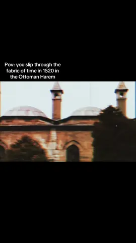 For some reason this took so long #fabricoftime #ottomanempire #hurremsultana #foryoupage #yourtimemachinebroke  