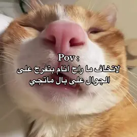 #fyp #explore #humor 