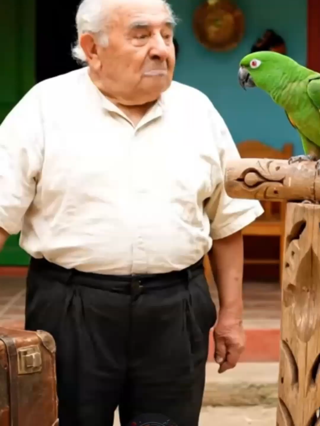 abuelo deja al perico al  mando #abuelos #humor #gracioso