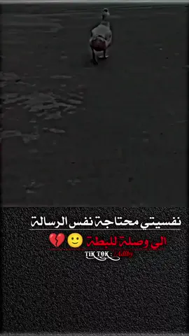 #خربشات_حمودي💫 #تصاميم_حمودي🔥💎🎬 #وهيكااا🙂🌸 #عمحاكيكن🤝🙂📿 #تصميم_فيديوهات🎶 