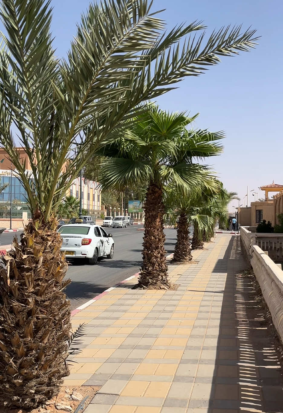 #fyp #foryou #foryoupage #اكسبلور #الشعب_الصيني_ماله_حل😂😂 #بشار #bechar #foryoupage❤️❤️ #اكسبلورexplore #algeria 