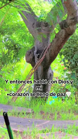 #jovenescristianos💖💎🙏❤️🌏♥️ #jovesnescristianos✝️ #