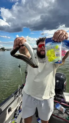 These fish bites surprised me by catching a tank 🔥