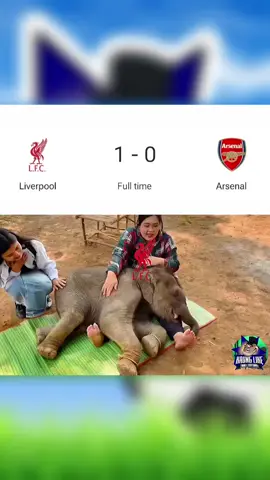 ဆင်ကလေး သိပ်ခံလိုက်ရပြီ 🤣 #fyp #foryoupagе #foryou #football #funny #footballfunny #kaungliketrollfootball #Arsenal #liverpool 