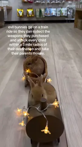 hi so they will not be held accountable because they didnt do it. #spirituality #bunny 