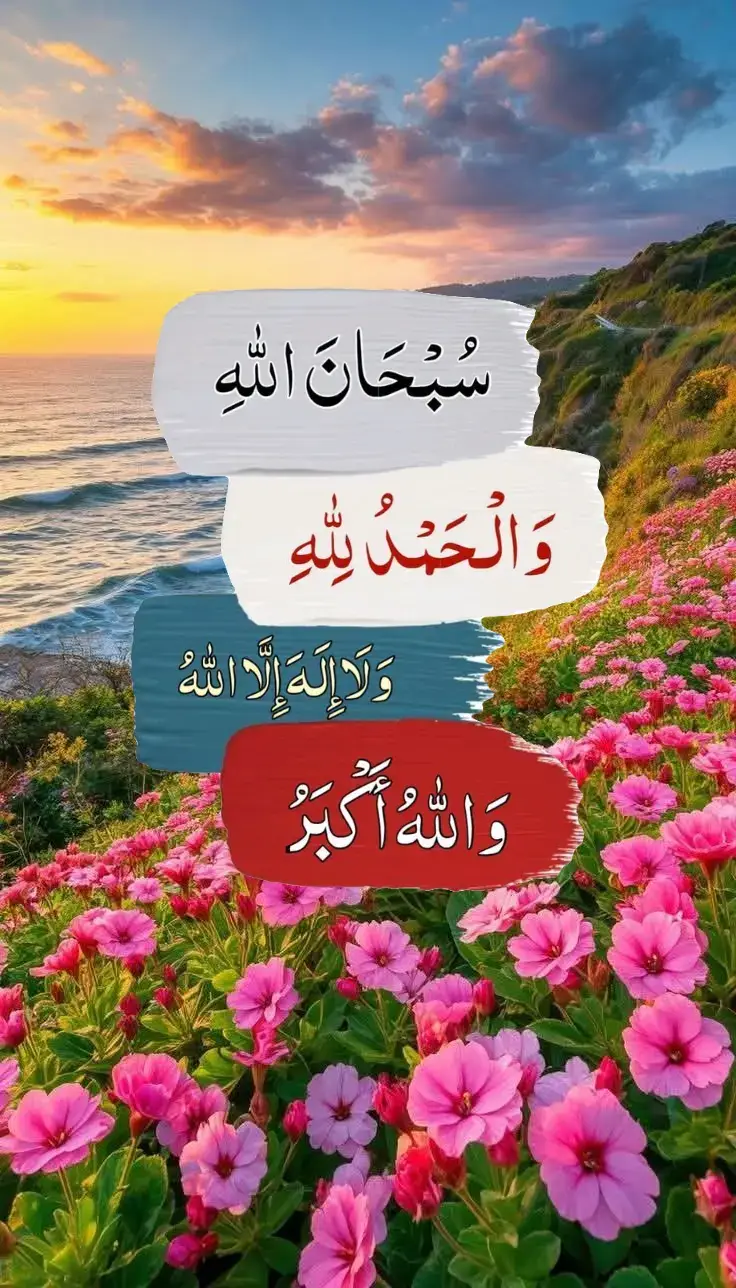 #fyp #fypage #اكسبلورexplore 