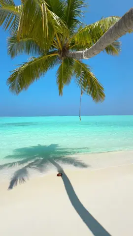 Perfection 🩵🌴 #maldives #maldivesvacation #maldivestiktok #maldivesislands #desertedisland 