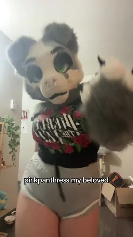 :3 #fursuit #fursona