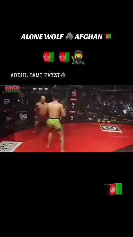 #پشتون_تاجیک_هزاره_ازبک_زنده_باد🇦🇫  @Abdul Sami Fayzi-The Lone Wolf   :انشالله بریا زمونږ ده💪💪💪