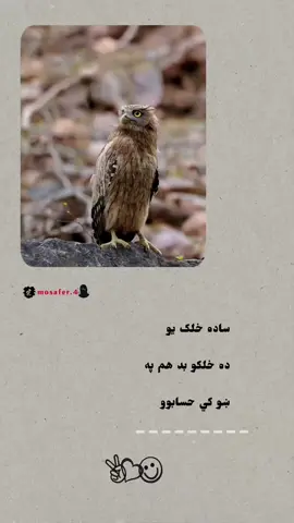 #پشتون_تاجیک_هزاره_ازبک_زنده_باد🇦🇫 #ژوندي_دي_وي_لوي_افغانستان🇦🇫🤟🥀❤️ #افغانستان🇦🇫🇬🇧 #viral #foryou 