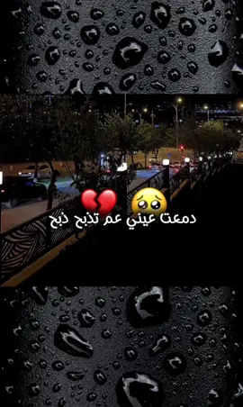 #مجرد________ذووووووق🎶🎵 〘الأنــ✌︎ـيـــــ💙ــق〙#🚬🖤🥃 