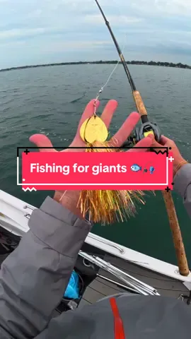 We Fished for Giant Fish 🐟🎣 @Joey Bass #fishing #fishingvideos #capcut 