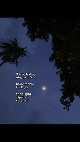 “Chúng ta đang sống để chết Chúng ta đang trẻ để già Và chúng ta gặp nhau để rời xa.” #noidaythumuanoibuon #emnhoCau #ptd #trongduong #kyniem 