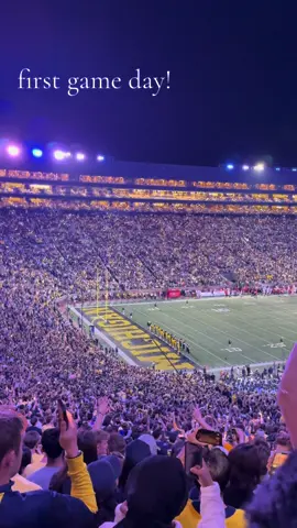 absolutely unreal! my first ever game as a wolverine #goblue #college #michigan #umich #mrbrightside 