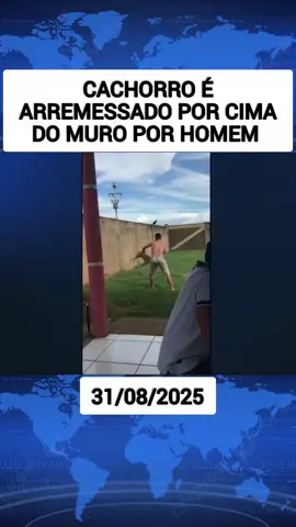 homem arremessa cachorro por cima do muro #noticiadeultimahora #tiktoknotícias #animals 
