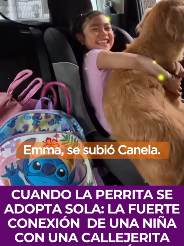 CUANDO LA PERRITA SE ADOPTA SOLA: LA FUERTE CONEXIÓN  DE UNA NIÑA CON UNA CALLEJERITA QUE EMOCIONÓ  AL MUNDO  La frase  