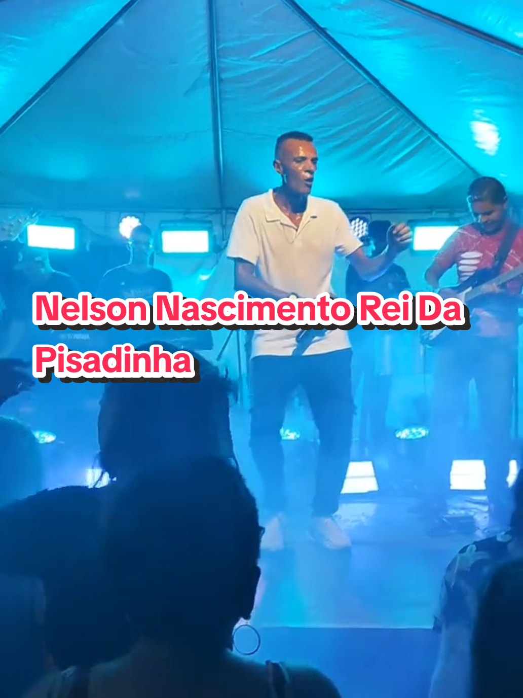 #Nelson #Nascimento #forró #pisadinha #Inverted 