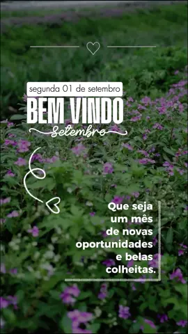 SEGUNDA 01 DE Setembro, BOM DIA PARA STATUS! #CapCut #segunda #storys #reflexaododia #bomdia 