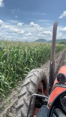 Seguramente #tiktok #agro #agriculture 