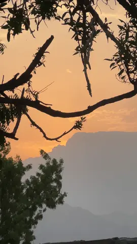 #اكسبلور #explore 