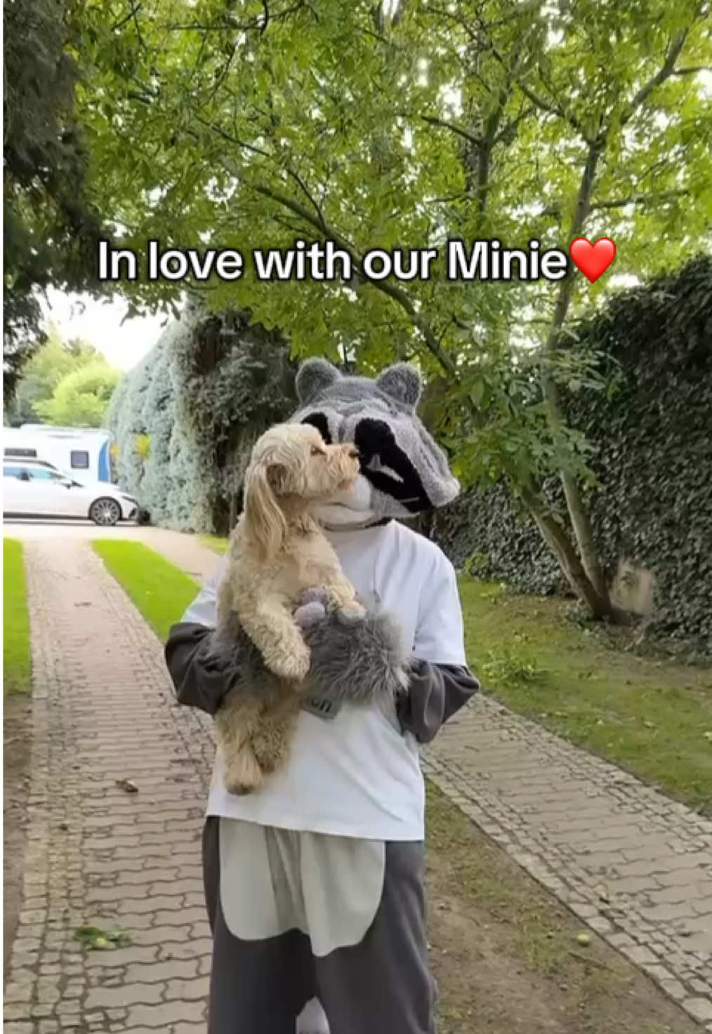 Pure love❤️ #onekissisallittake #dualipa #maltipoo #kidsapp #doggylove #dancekids 