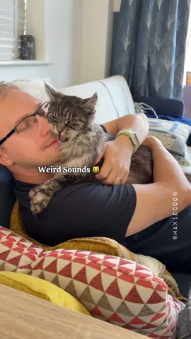🔊The Loud Reality of Owning Maine Coon Cats 🙀 The End 💔 #catsounds #mainecooncats #lifewithcats #maxiecoon 
