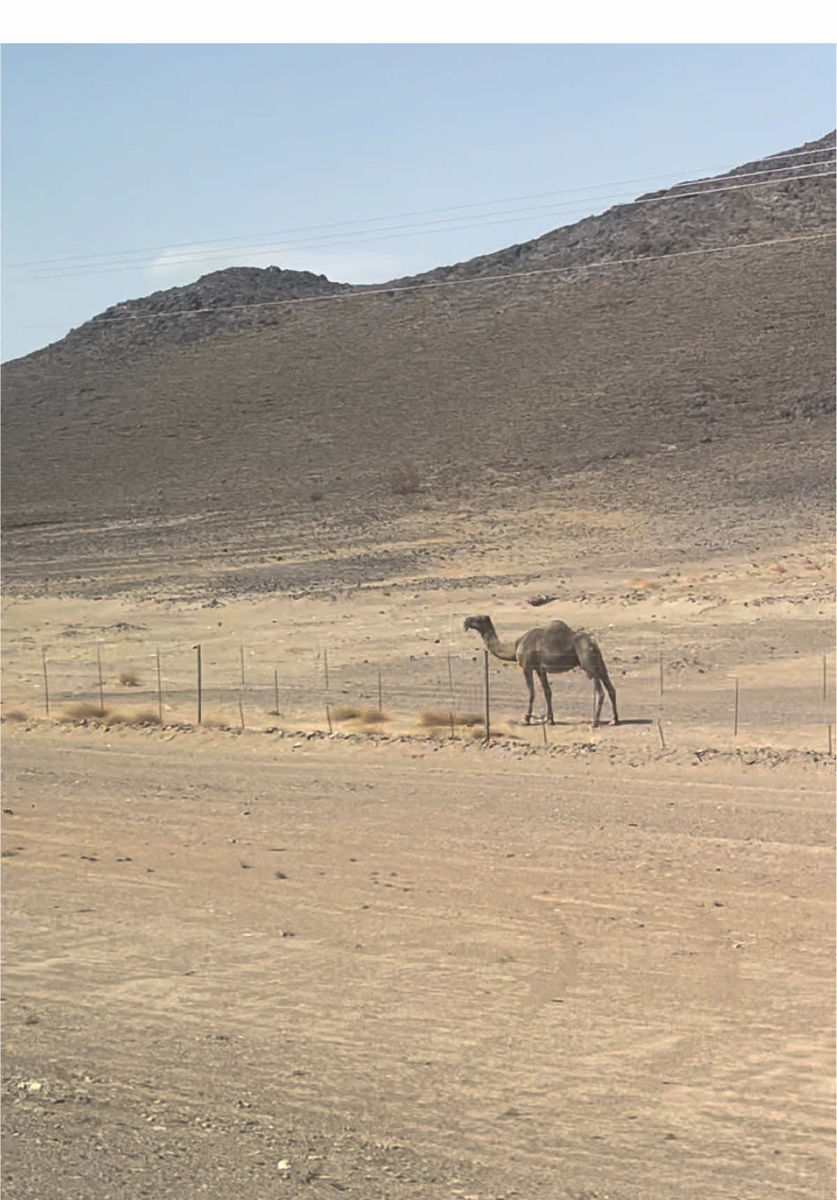 I love sodiya 🇸🇦🥰