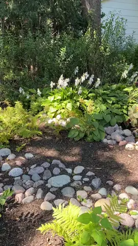 deadheading hosta and turning it something beautiful #perspective #hostaflowers #slowsunday #chores