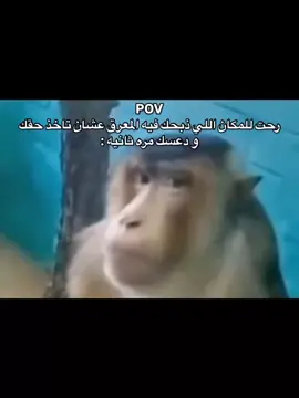 #حصل #fowollme #لايك__explore___ #tiktok #like 