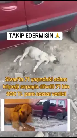 #sivas #patilidostlar #pati #patisever #şiddet #sondakika #sessizkalma #adaletistiyoruz #keşfet 