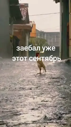 #учеба #сентябрь #осень #реки #рекомендации