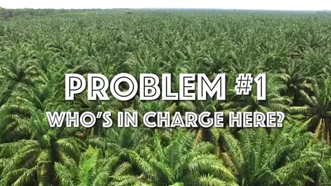 Climate town Climate change #climateaction #climatechange #climate #xybzca #fyp 