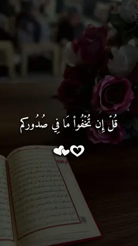 #قل_ان_تخفوا_ما_في_صدوركم_يعلمه_الله #القرأن_الكريم #فارس_عباد #quran #quran_alkarim 