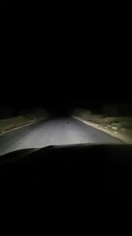 #CapCut 