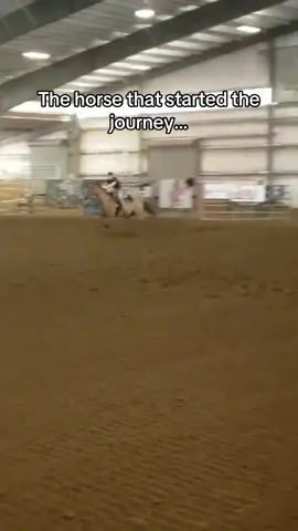 Super excited for this next year so blessed by that 500 hundred dollar ranch horse that started all of this. And the girl way back when who made me enter. Thankful for amazing clients and exciting year to come! #fyp #foryou #barrels #futurity #horsetrainer 